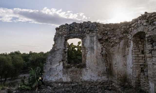 Casolari, palmenti e masserie: a Bitetto si nasconde un secolare ma dimenticato mondo rurale